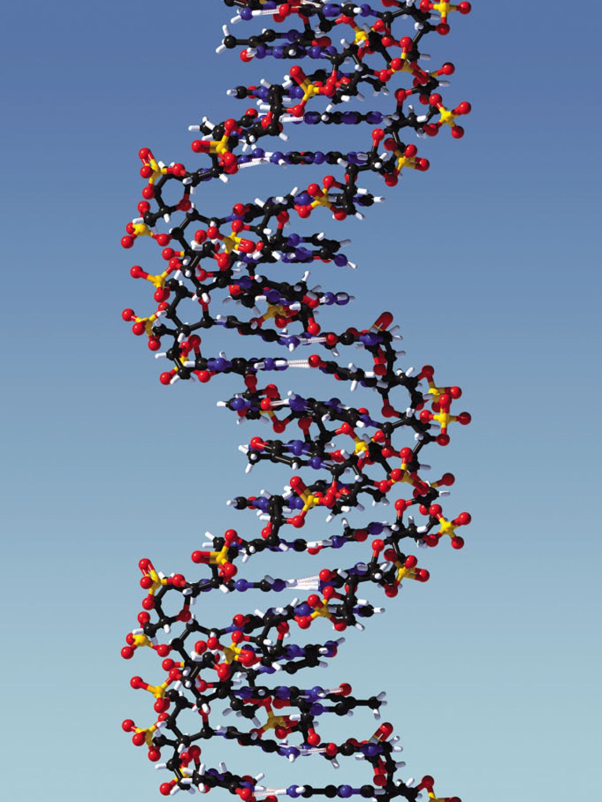 ADN épigénétique