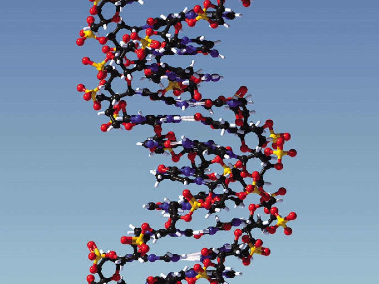 ADN épigénétique 