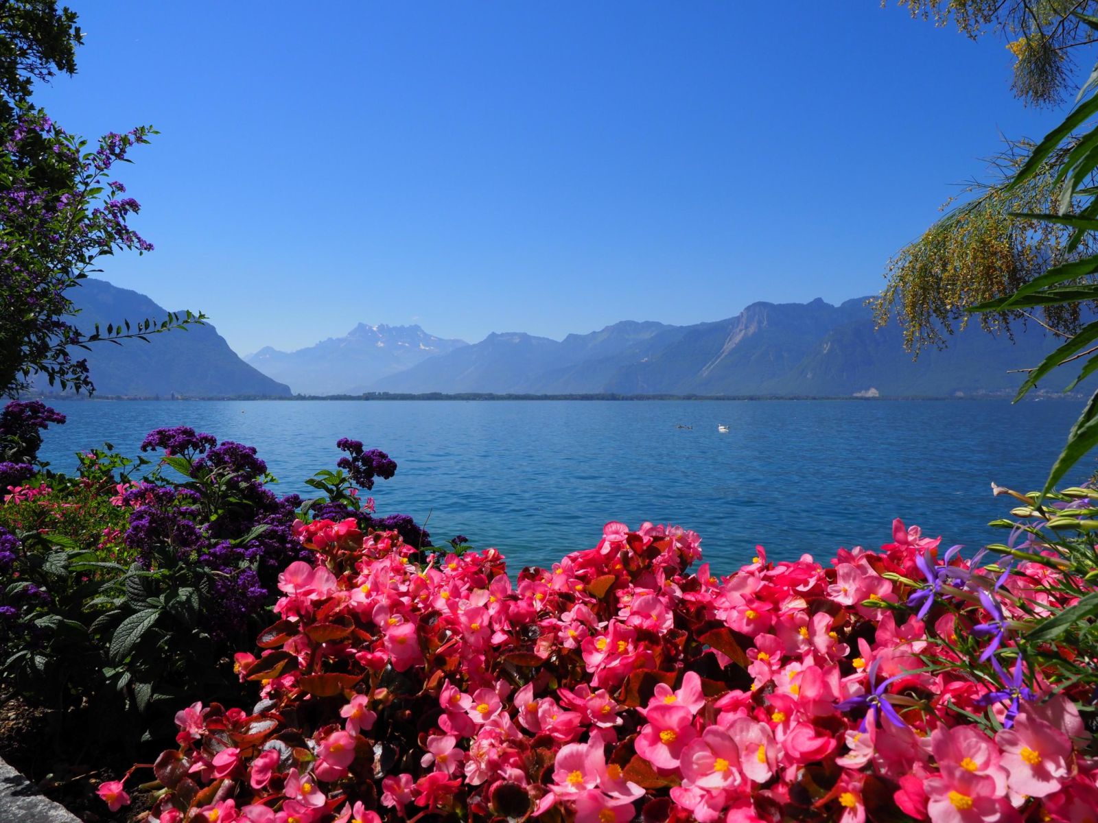 Panoramic view of Montreux