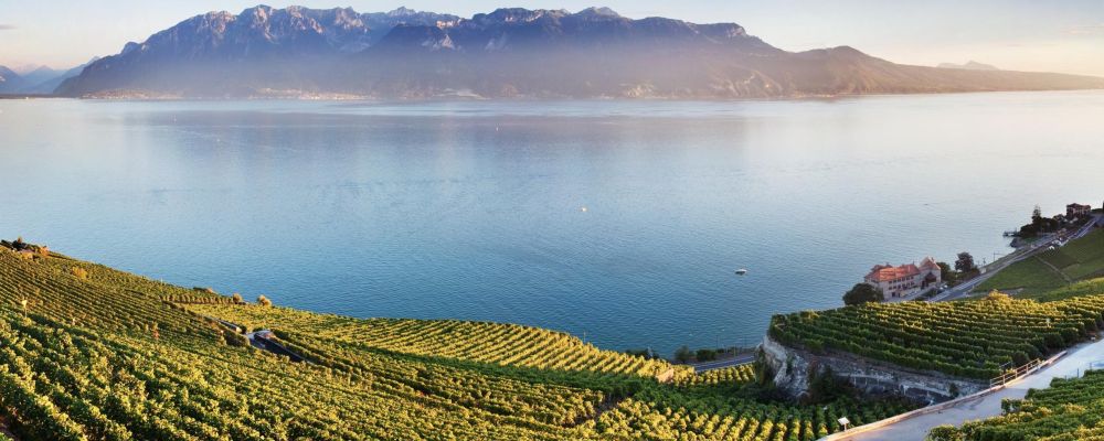 panoramic view of Geneva Lake 
