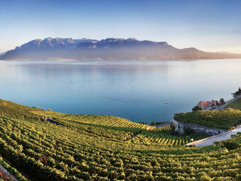 The UNESCO-listed Lavaux vineyards
