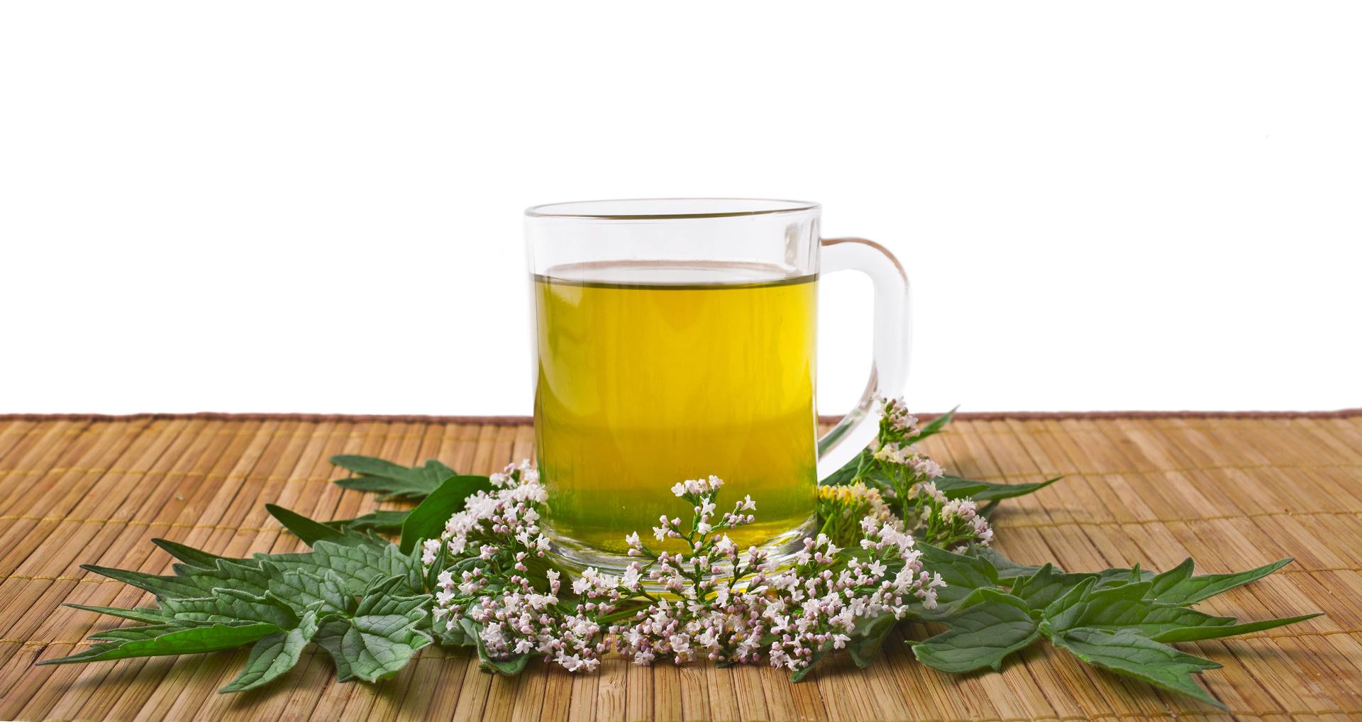 Therapeutic fasting