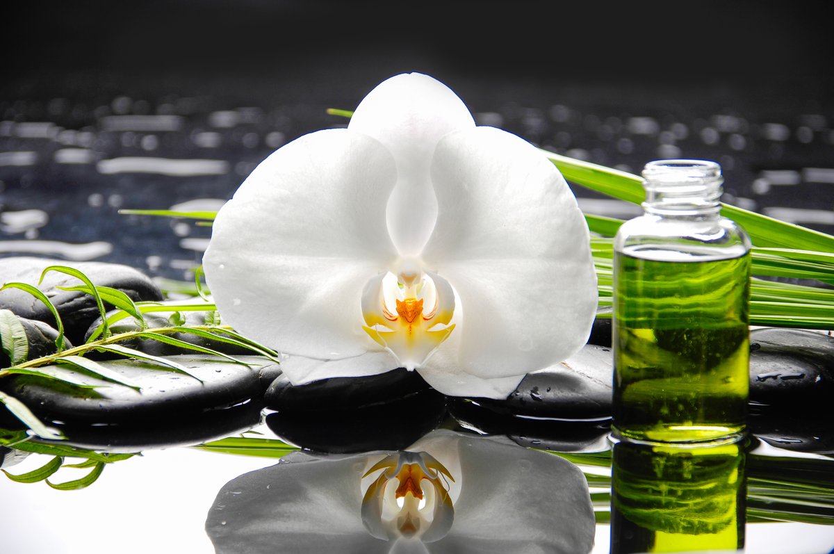 massages ayurvédiques  