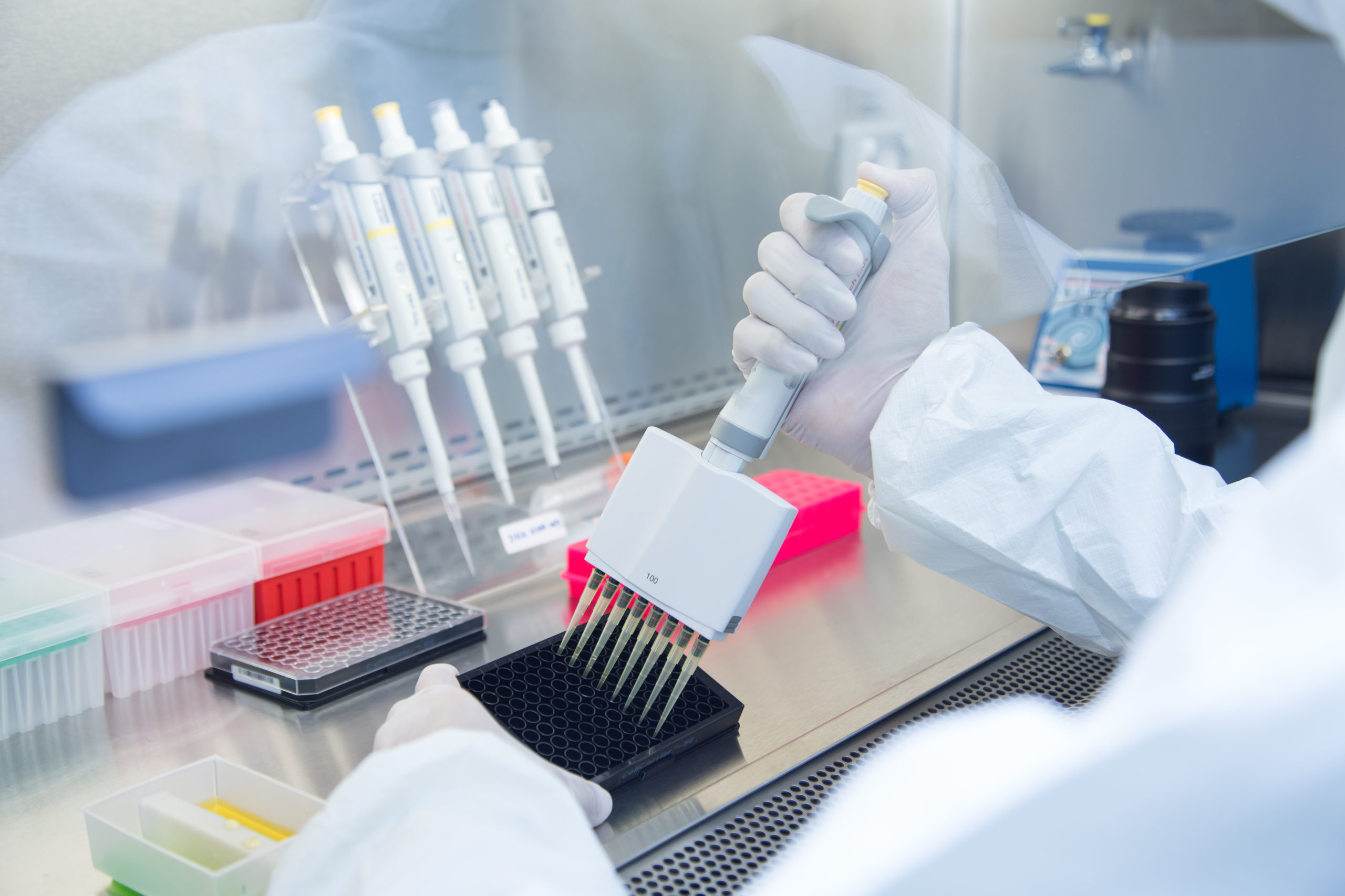 Les cellules souches ont le pouvoir de se transformer en n'importe quelle autre cellule