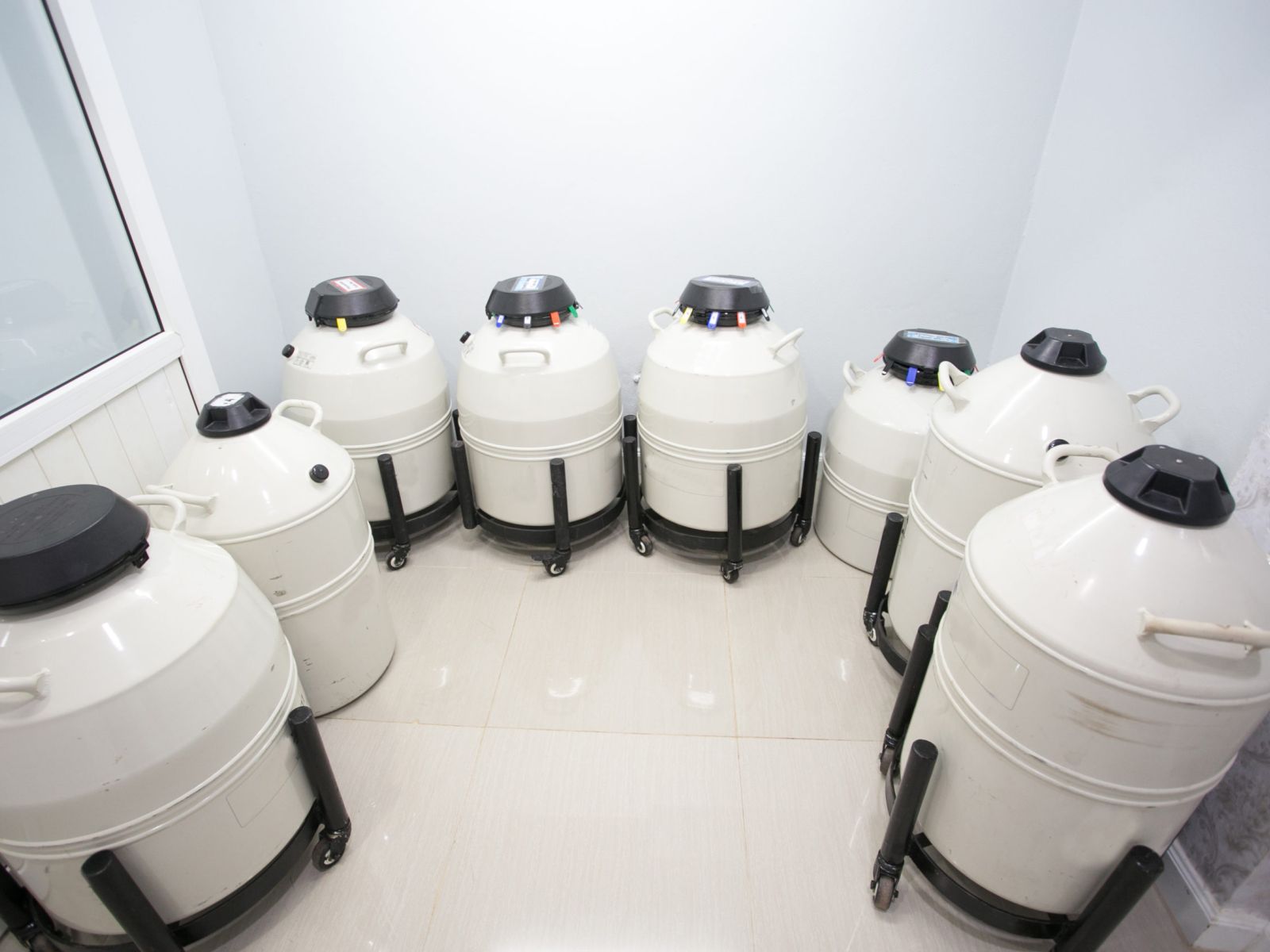 Storing stem cells for future use