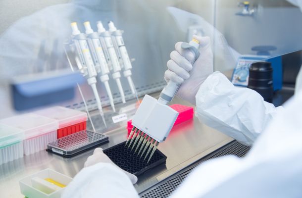 Les cellules souches ont le pouvoir de se transformer en n'importe quelle autre cellule