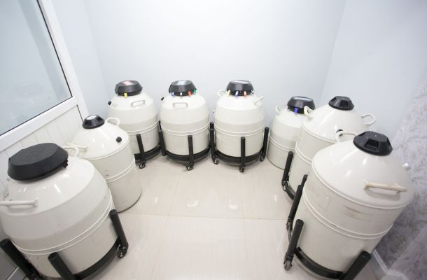 Storing stem cells for future use