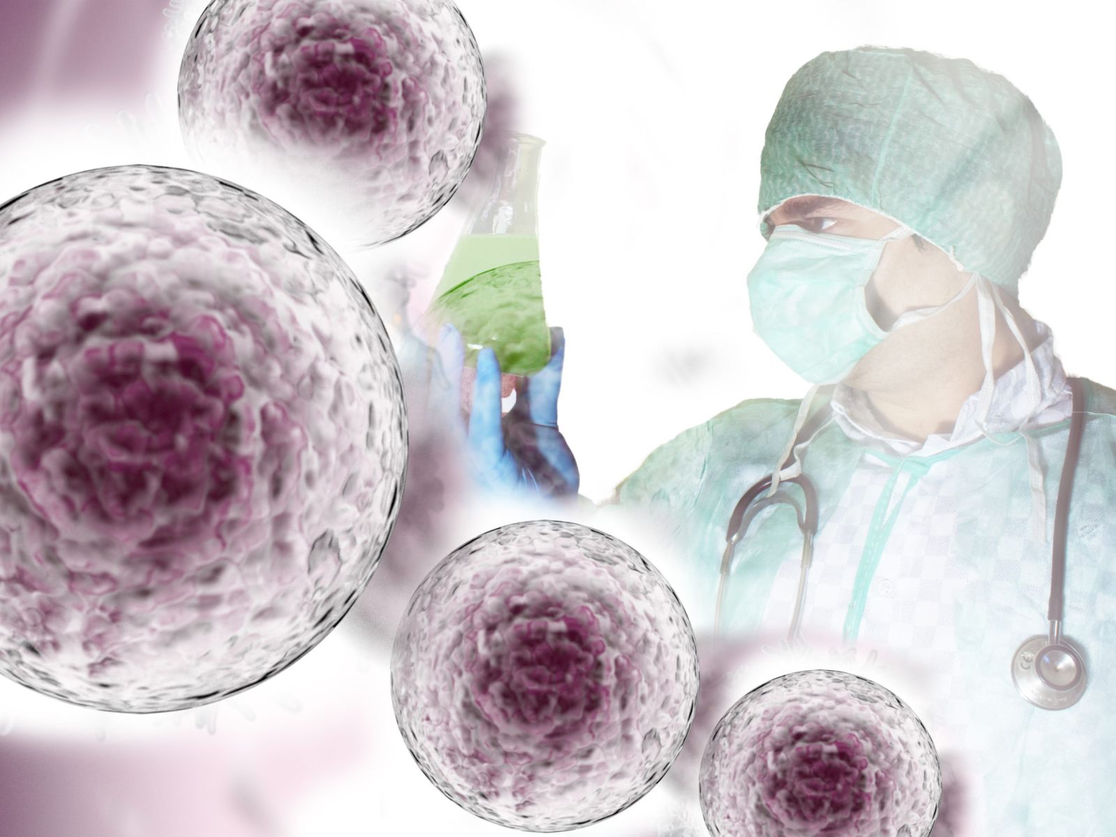 Extraction of stem cells from fat samples in the laboratory.