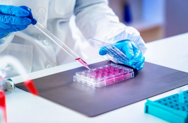 Stem cells are extracted from the harvested fat.