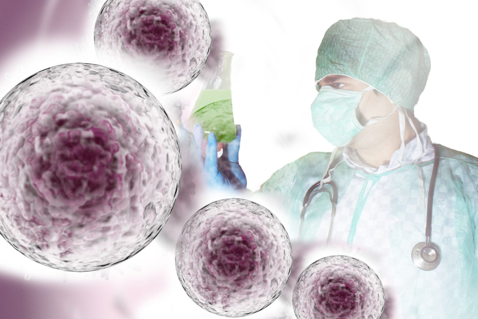 Extraction of stem cells from fat samples in the laboratory.