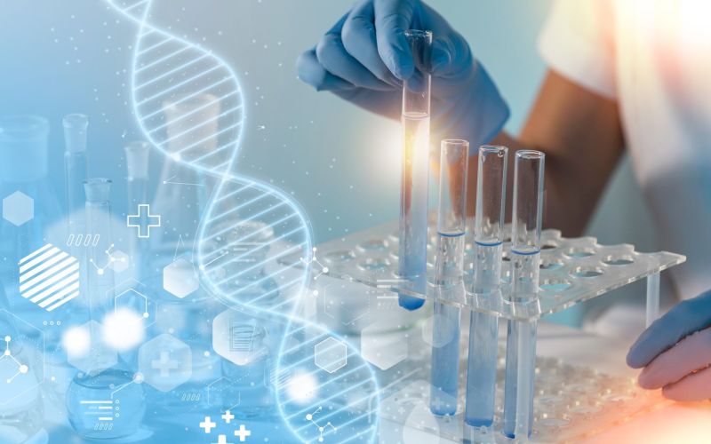 Extraction of stem cells in the laboratory.