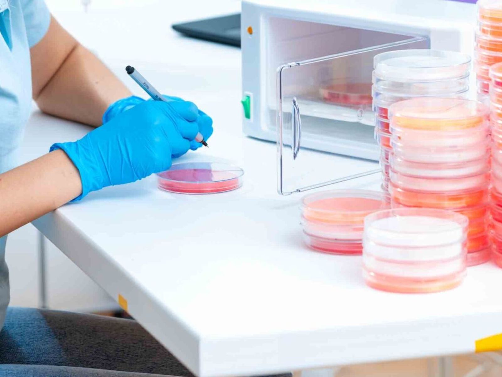 Epigenetische Beurteilung