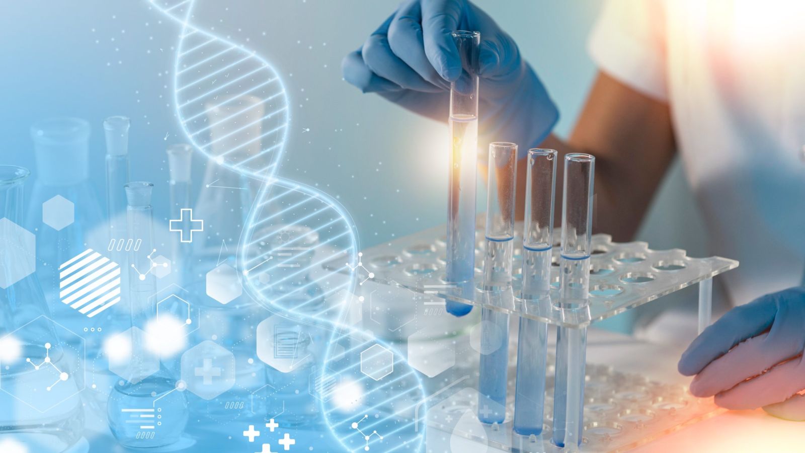 Extraction of stem cells in the laboratory.
