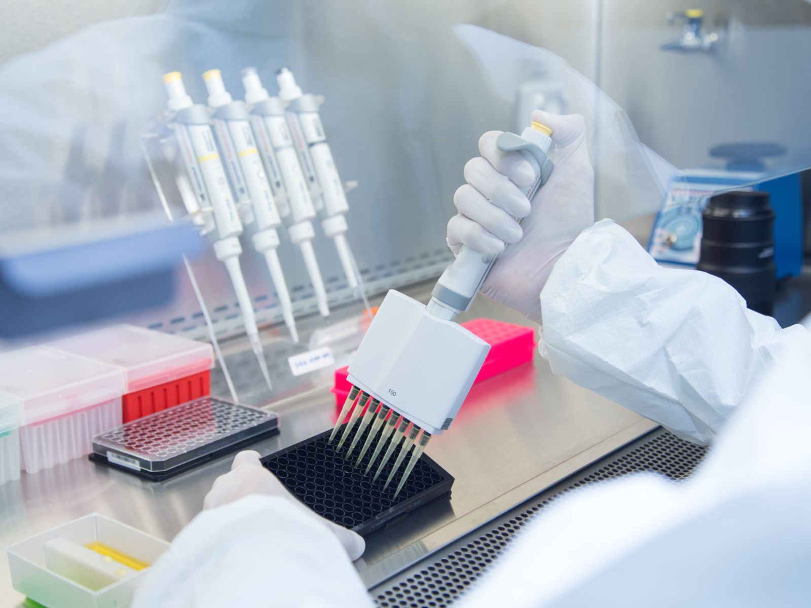 Are stem cells legal in Switzerland?